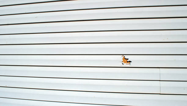 Best Shed Removal  in Lamont, CA
